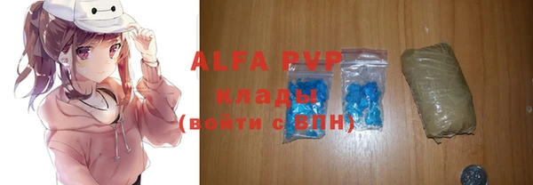 прущая мука Корсаков
