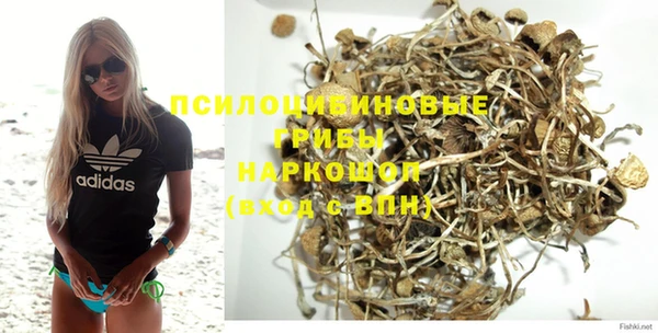 ALPHA PVP Коряжма