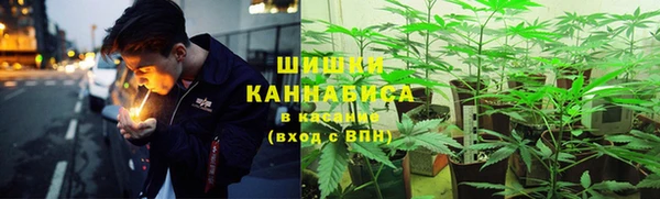 прущая мука Корсаков