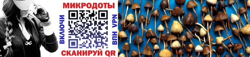 Купить  Барабинск  Галлюциногенные грибы GOLDEN TEACHER 